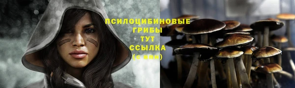марки nbome Алзамай