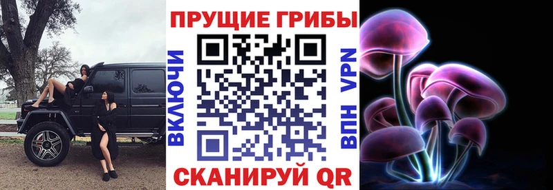 дарнет шоп  Каменск-Уральский  Галлюциногенные грибы ЛСД 