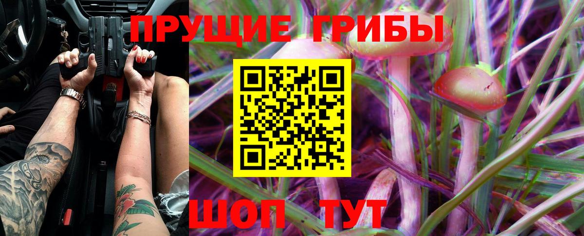 Псилоцибиновые грибы GOLDEN TEACHER Каменск-Уральский